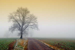 美网黑马崛起，下一位传奇是否已诞生